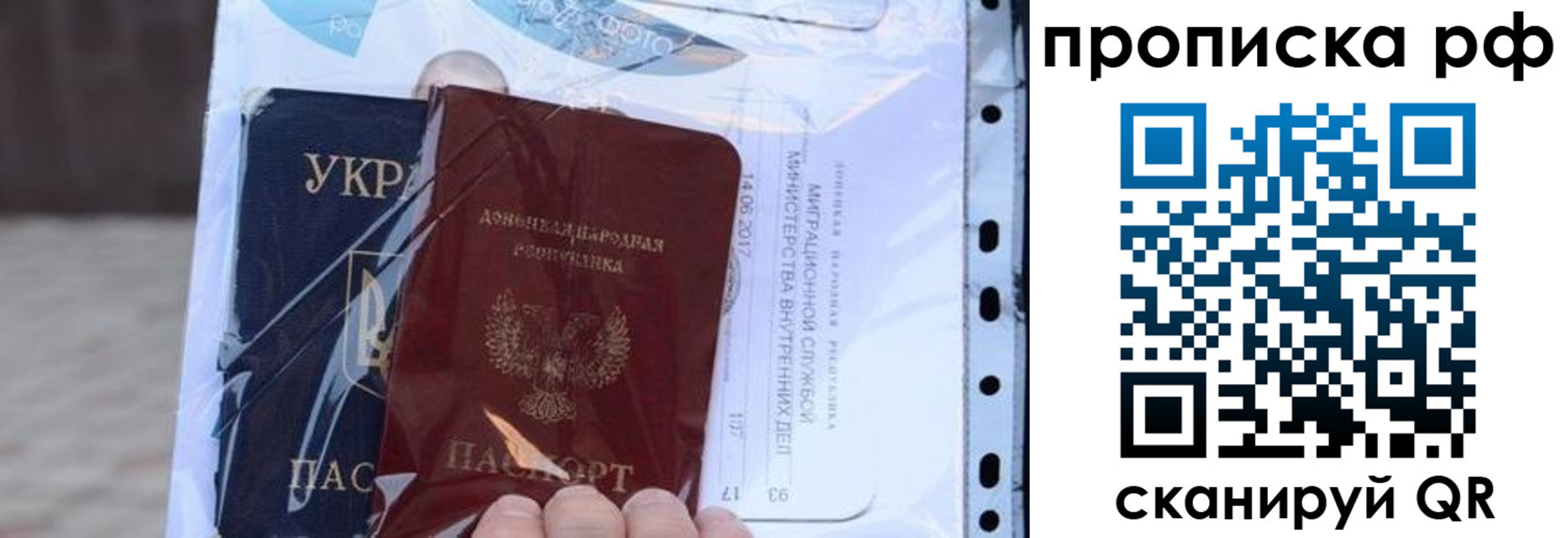 прописка от собственника в Светлогорске